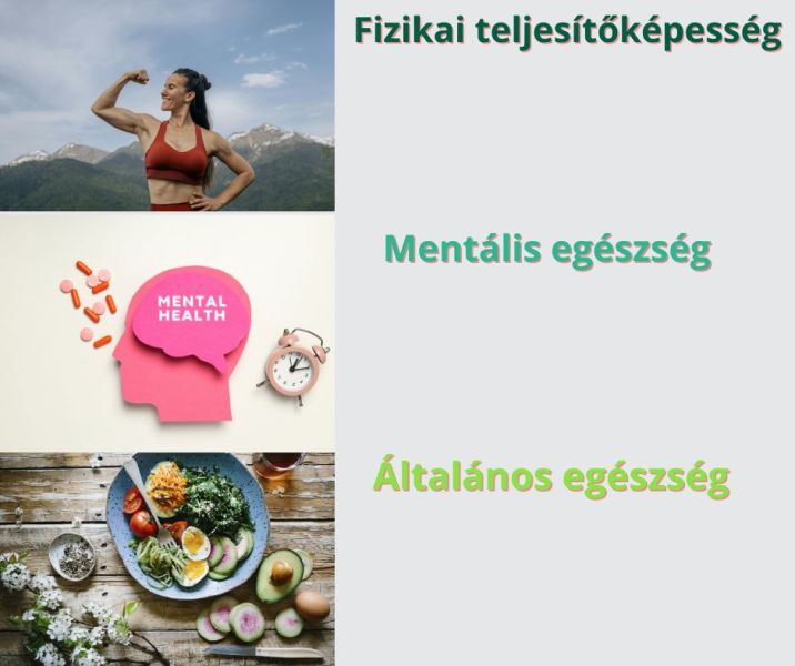 Erőtől az egészségig – miért az erősítés a fitness alappillére 2025-ben?