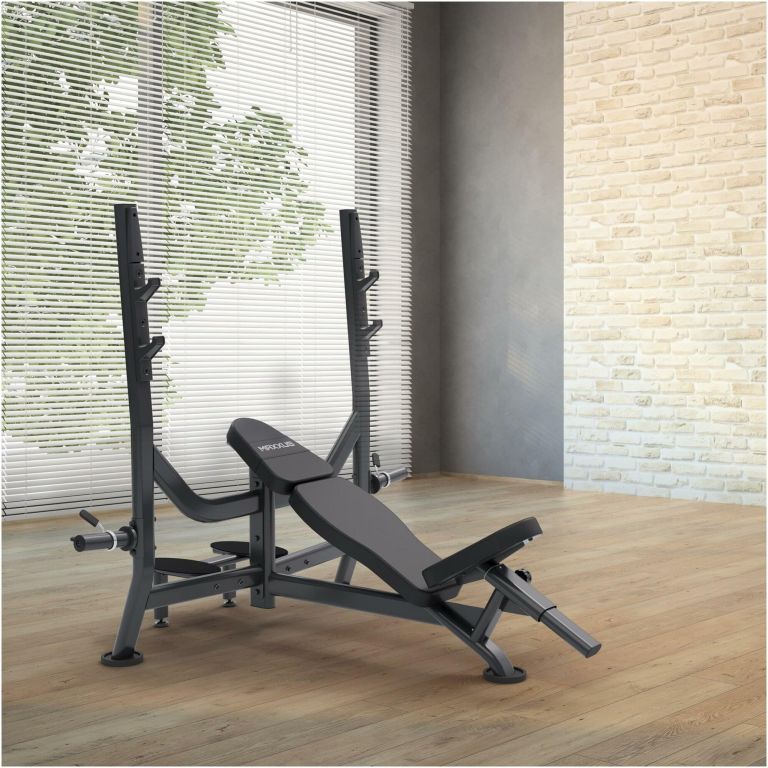 Ferde súlyzópad állvánnyal teherbírás 285 kg